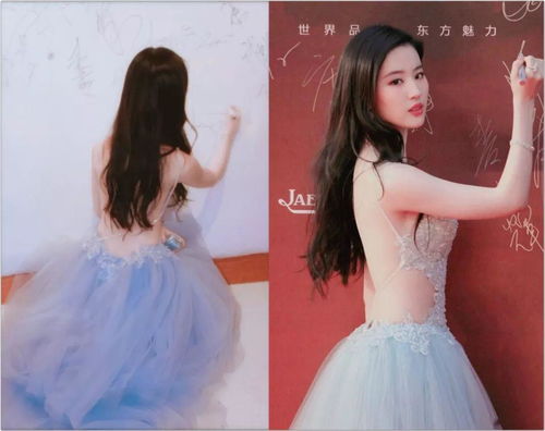美背好还是胸罩好